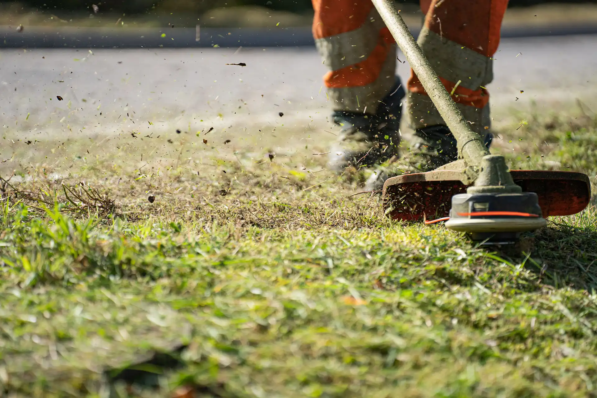 Landscaping
